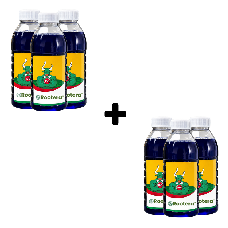Rootera™