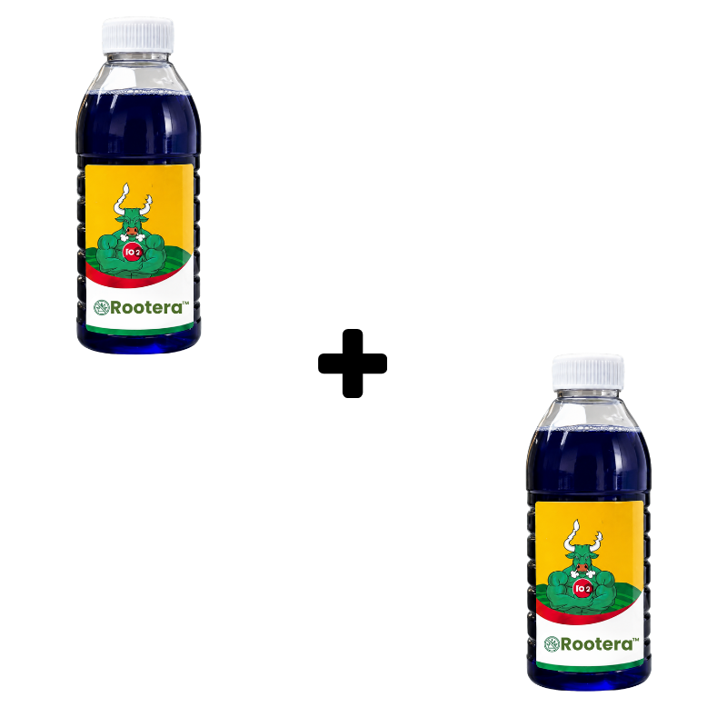 Rootera™